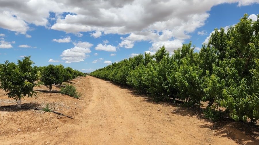 Commercial Property for Sale in Paarl Rural Western Cape